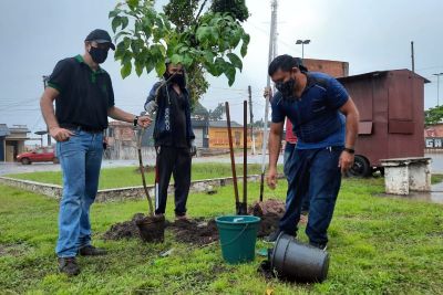 notícia: Em Monte Alegre, Emater contribui para uma cidade mais verde