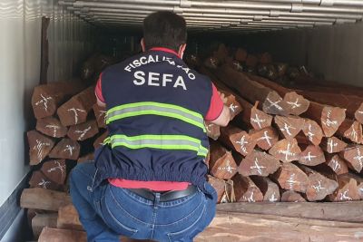 notícia: Fiscais da Sefa apreendem 900 estacas de madeira em Marabá