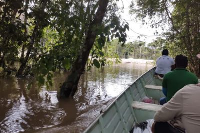 notícia: Sespa coordena ações de combate à malária em área indígena de Jacareacanga
