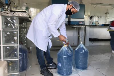 notícia: Sespa atua em interdição de empresa de envasamento de água