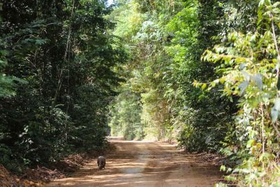 notícia: Economia Verde é tema de debate on-line promovido pela Semas