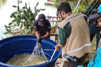 notícia: Fiscalização estadual apreende mais de 200 kg de pescado no Lago de Tucuruí