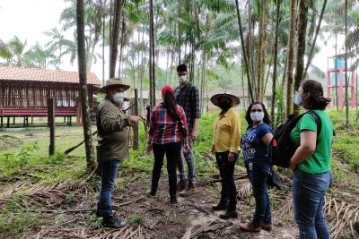 notícia: Atividades teóricas e de campo marcam início da Residência Profissional Agrícola na Emater