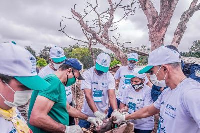 notícia: Produtores de Floresta do Araguaia concluem capacitação para desenvolvimento rural sustentável