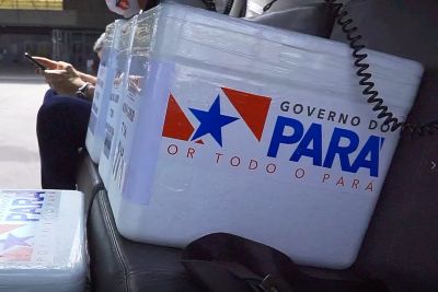notícia: Nova remessa de vacinas contra a Covid-19 é enviada pelo Graesp para o interior do Pará