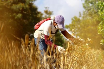 notícia: Dia do Campo conscientiza sobre a importância da produção rural para a sociedade