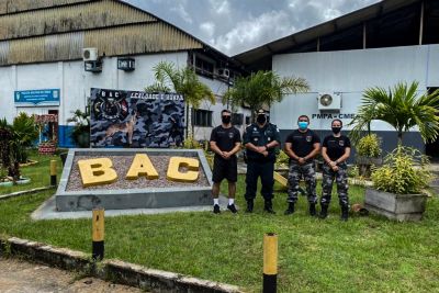 notícia: Maternidade canina da Polícia Militar deve ser entregue no segundo semestre