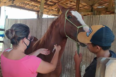 notícia: Adepará realiza saneamento em fazenda no sudeste paraense