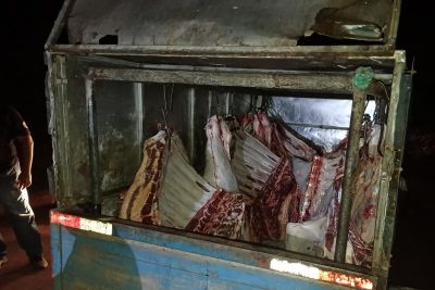 notícia: Adepará interdita dois abatedouros clandestinos em ação conjunta