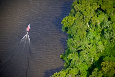 notícia: Dia Internacional da Biodiversidade conscientiza sobre a preservação ambiental no Pará