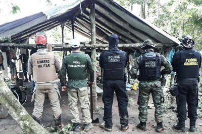 notícia: 11ª Fase da Operação Amazônia Viva reduz em 62% desmatamento em áreas estaduais no Pará 