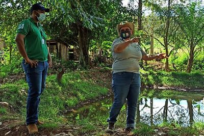 notícia: Emater e Ideflor-Bio implantam Unidades Demonstrativas de Sistemas Agroflorestais em Sapucaia