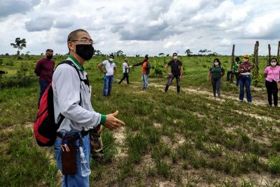 notícia: Emater participa, em Tomé Açu, de ação interinstitucional para melhoria na cadeia produtiva da Pimenta do Reino no Pará