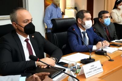 notícia: Conselho de Segurança elege representante da sociedade civil para vice-presidente