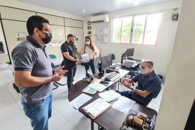 notícia: Adepará trabalha para erradicação da mosca da carambola na fronteira com o Amapá