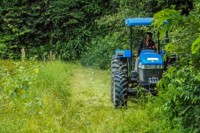 notícia: Pará registra aumento de postos de trabalho no setor agropecuário, nos últimos 12 meses