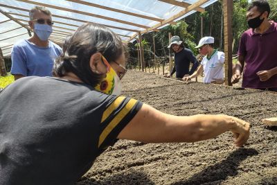 notícia: Emater incentiva a produção sustentável de alimentos no Pará