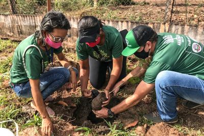notícia: Em Monte Alegre, Emater participa de programação relativa à Semana do Meio Ambiente