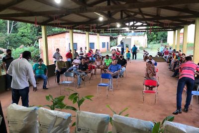 notícia: Semana do Meio Ambiente é marcada por ações do Ideflor-Bio na Transamazônica
