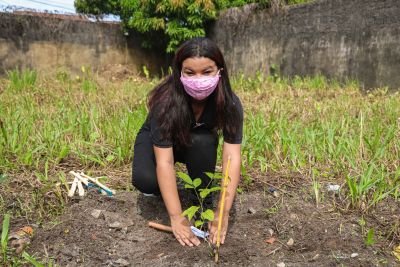 notícia: Semana do Meio Ambiente promove plantio de árvores em escola pública