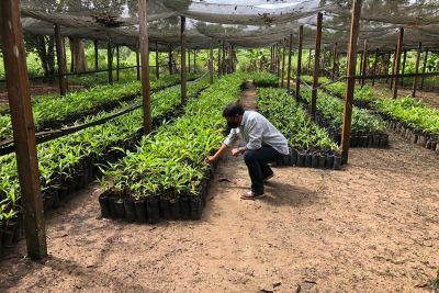 notícia: Titular da Sedap visita instalações da Sedap no nordeste do Pará e anuncia melhorias