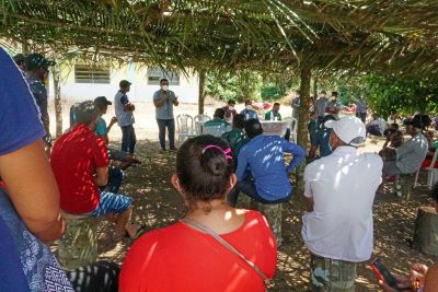 notícia: Produtores familiares de cacau de Anapu recebem orientações de técnicos da Sedap 