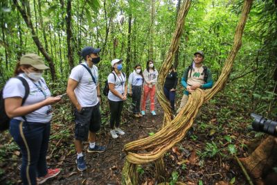 notícia: Parque do Utinga está na seletiva do programa de preservação ambiental Caixa Floresta