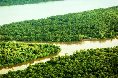 notícia: Cinco organizações seguem no processo seletivo para Entidade Gestora do Fundo da Amazônia Oriental