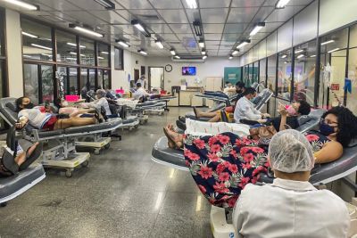 notícia: Solidariedade garante mais de 400 bolsas de sangue para o Hemopa no final de semana