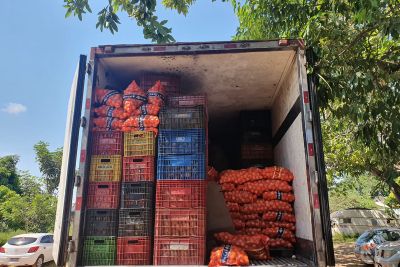 notícia: Fiscais da Fazenda apreendem 4,5 toneladas de açúcar em meio à carga de hortifrutigranjeiros