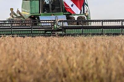 notícia: Exportação do agronegócio do estado cresce em 26, 23% no mês de maio