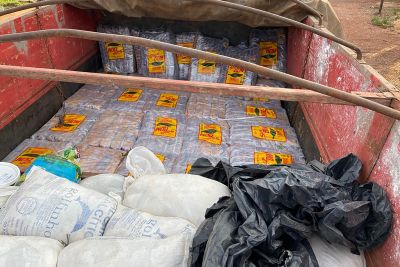 notícia: Sefa apreende 1,2 tonelada de fumo escondida em meio a calcário 
