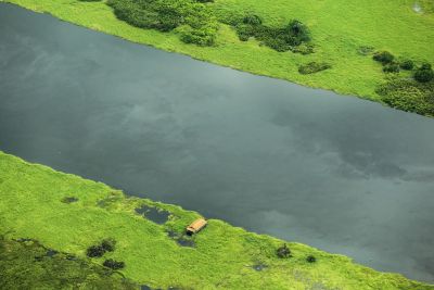 notícia: Estado avança com trabalho de compensação ambiental e beneficia Unidades de Conservação