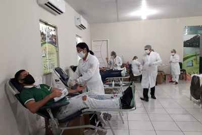 notícia: Em Bragança, Hemopa coleta mais de 200 bolsas de sangue no final de semana