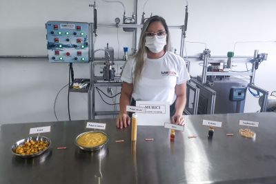 notícia: Óleo do murici qualifica o fruto como insumo para a indústria farmacêutica, diz pesquisadora