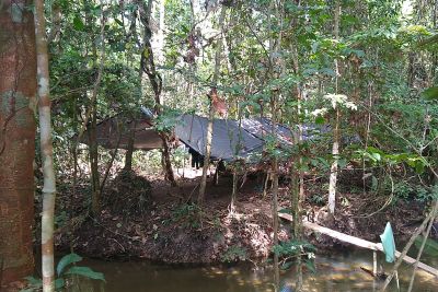 notícia: Operação Amazônia Viva amplia resultados em municípios que mais desmatam no Pará