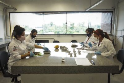 notícia: Laboratório de análise sensorial proporciona melhorias na qualidade do cacau  e benefícios aos produtores   