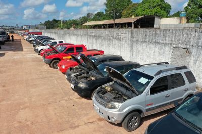 notícia: Leilão público da Seplad supera expectativas e arrecada o valor de quase dois milhões de reais 