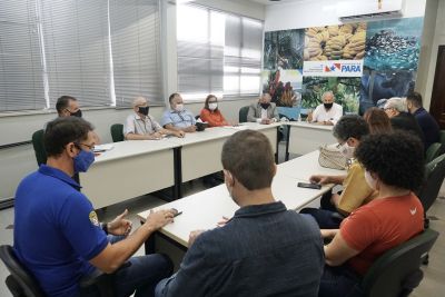 notícia: Órgãos públicos e da iniciativa privada criam Comissão Técnica da Cadeia Produtiva do Cacau