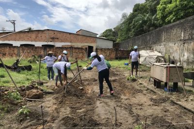 notícia: Moradores do Parque Guajará aprendem cultivo de horta comunitária