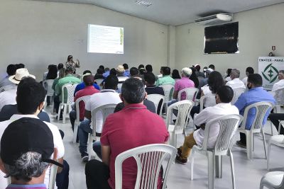 notícia: Produtores de Capitão Poço participam de programação sobre boas práticas da pimenta-do-reino