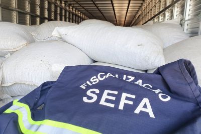 notícia: Sefa apreende carga de cacau em amêndoas de mais de meio milhão de reais na Transamazônica