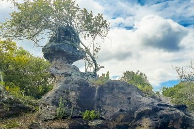 notícia: Pedra rara é redescoberta em parque em Monte Alegre, no oeste do Pará