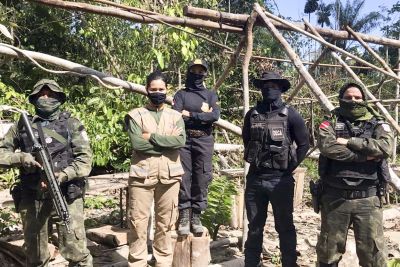 notícia: Operação Amazônia Viva fortalece combate ao desmatamento ilegal no Pará
