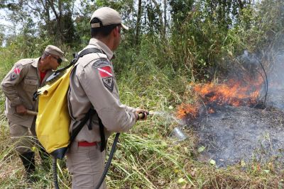notícia: Pará fecha mês de julho com redução de 49% nas ocorrências de focos de calor