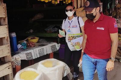 notícia: Adepará realiza ações de combate à mosca-da-carambola na divisa do Pará e Amapá
