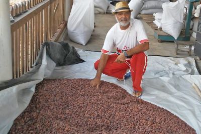 notícia: Amêndoa de cacau paraense é selecionada entre as 50 melhores no Salão de Chocolate de Paris 