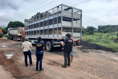 notícia: Fiscais da Adepará apreendem quase sete toneladas de produtos de origem clandestina