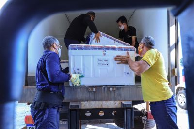 notícia: Pará recebe mais 195 mil doses de vacinas contra covid-19, na tarde desta sexta-feira (20)