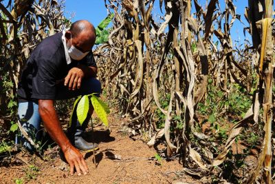 notícia: Programa Territórios Sustentáveis inicia nova etapa na PA-279, no sudeste paraense